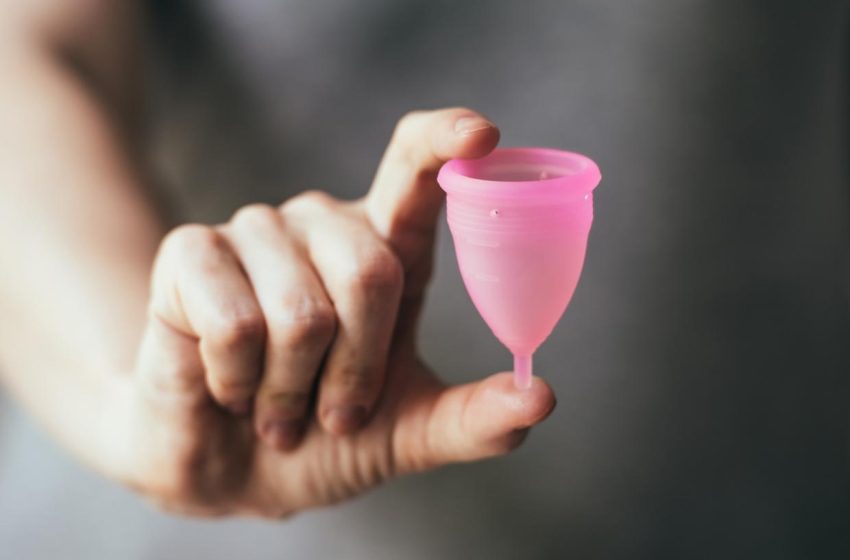  Coletor menstrual: saiba para que serve e como usar
